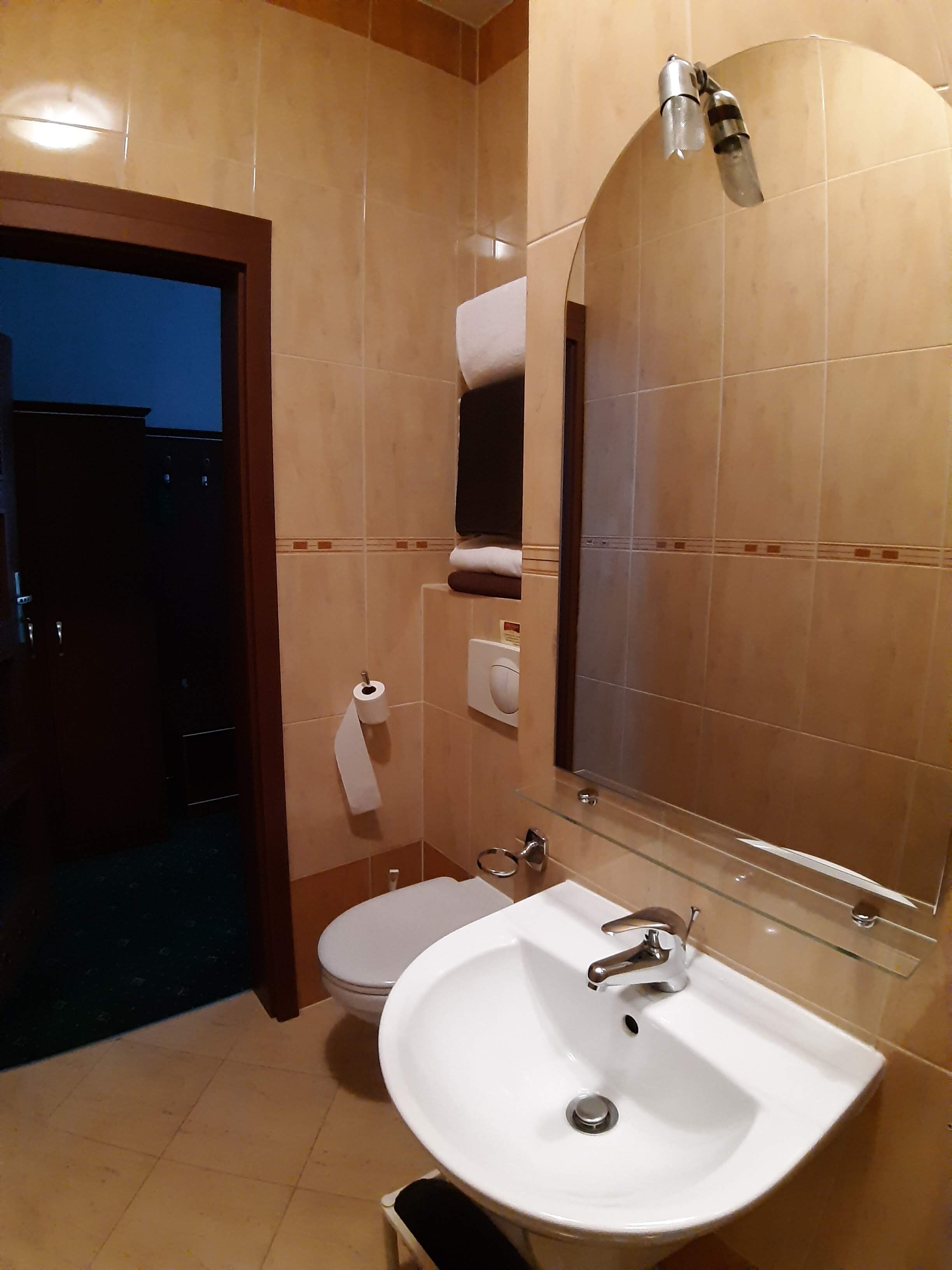 Hotel Skalite Spa & Wellness-浴室