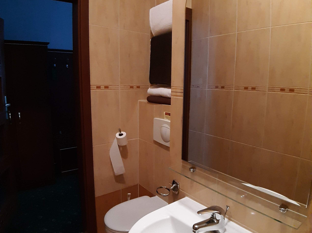 Hotel Skalite Spa & Wellness主图