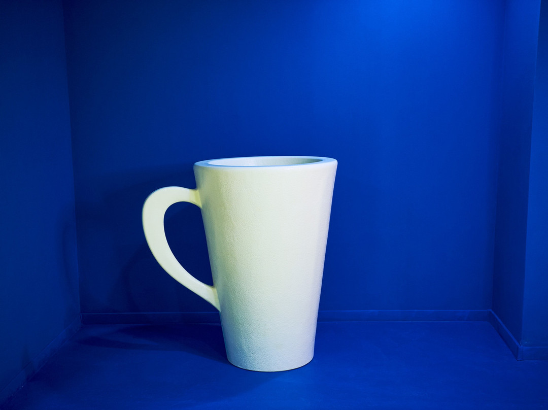 Selfie Museum Chisinau-基希讷乌必去景点