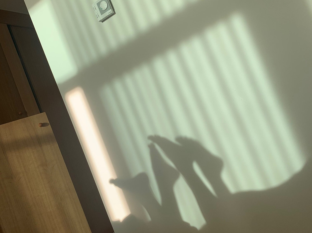 Hotel Do Campo主图