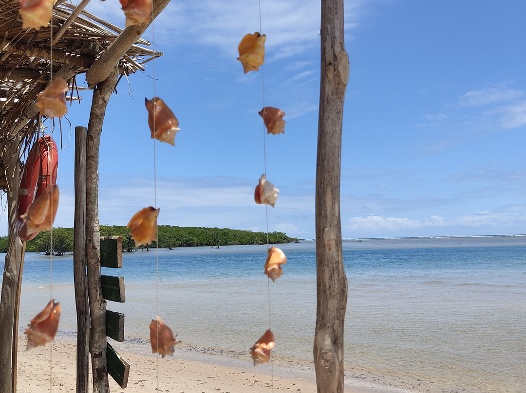 Ponta de Castelhanos-Ilha de Boipeba必去景点