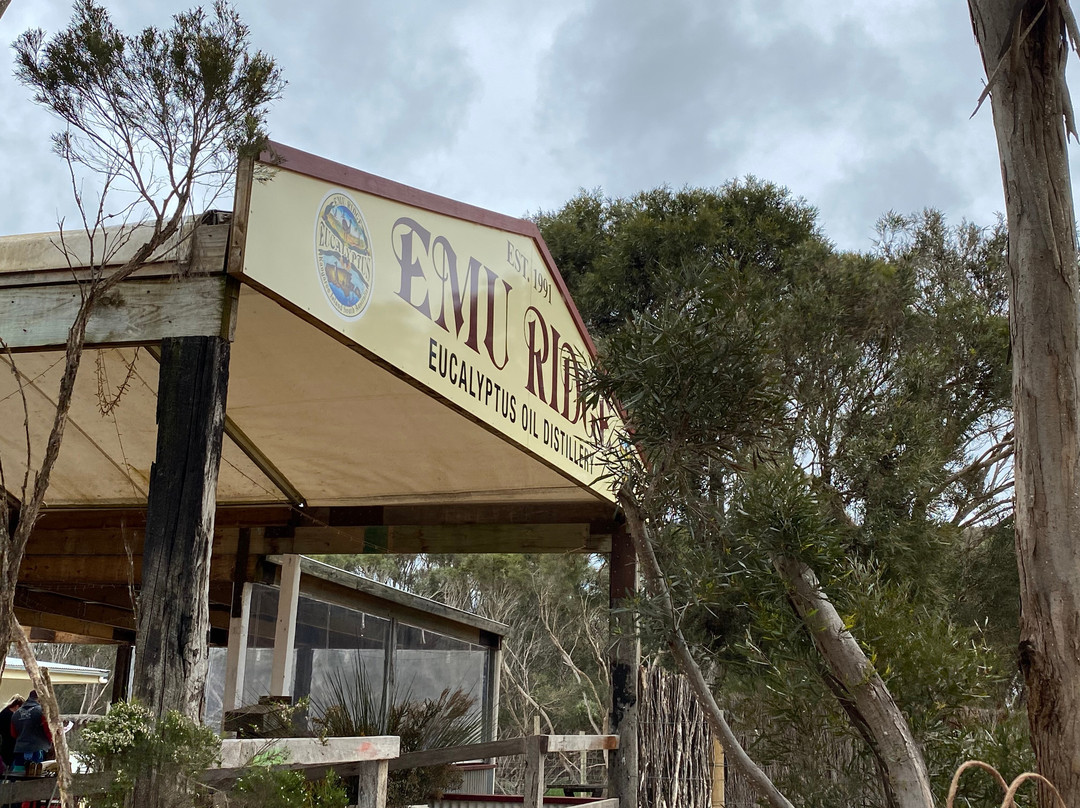 Emu Ridge Eucalyptus-金斯科特必去景点