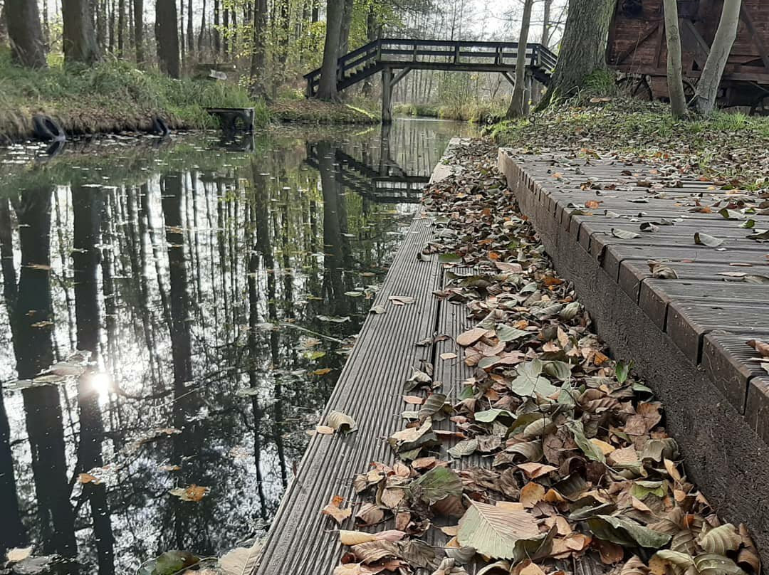 Spreewaldkahnfahrten Ulrich Wolff景点图片