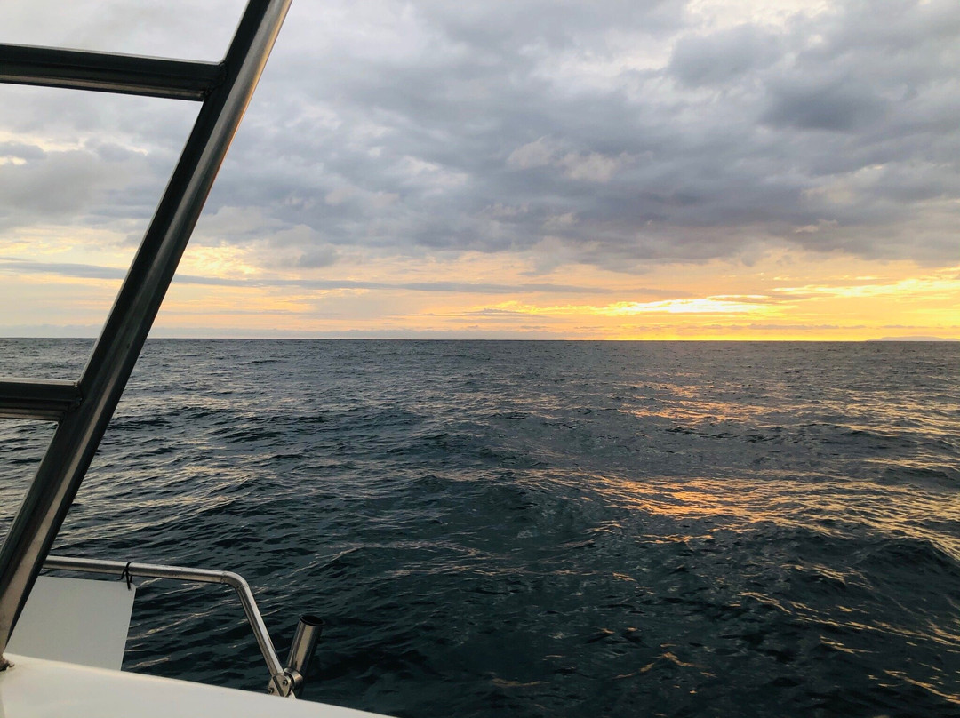 Sealounge Catamaran Costa Rica景点图片