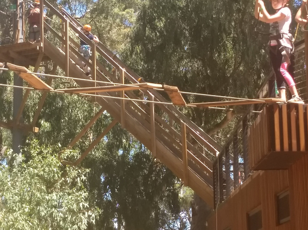 TreeClimb Adelaide-阿德莱德必去景点