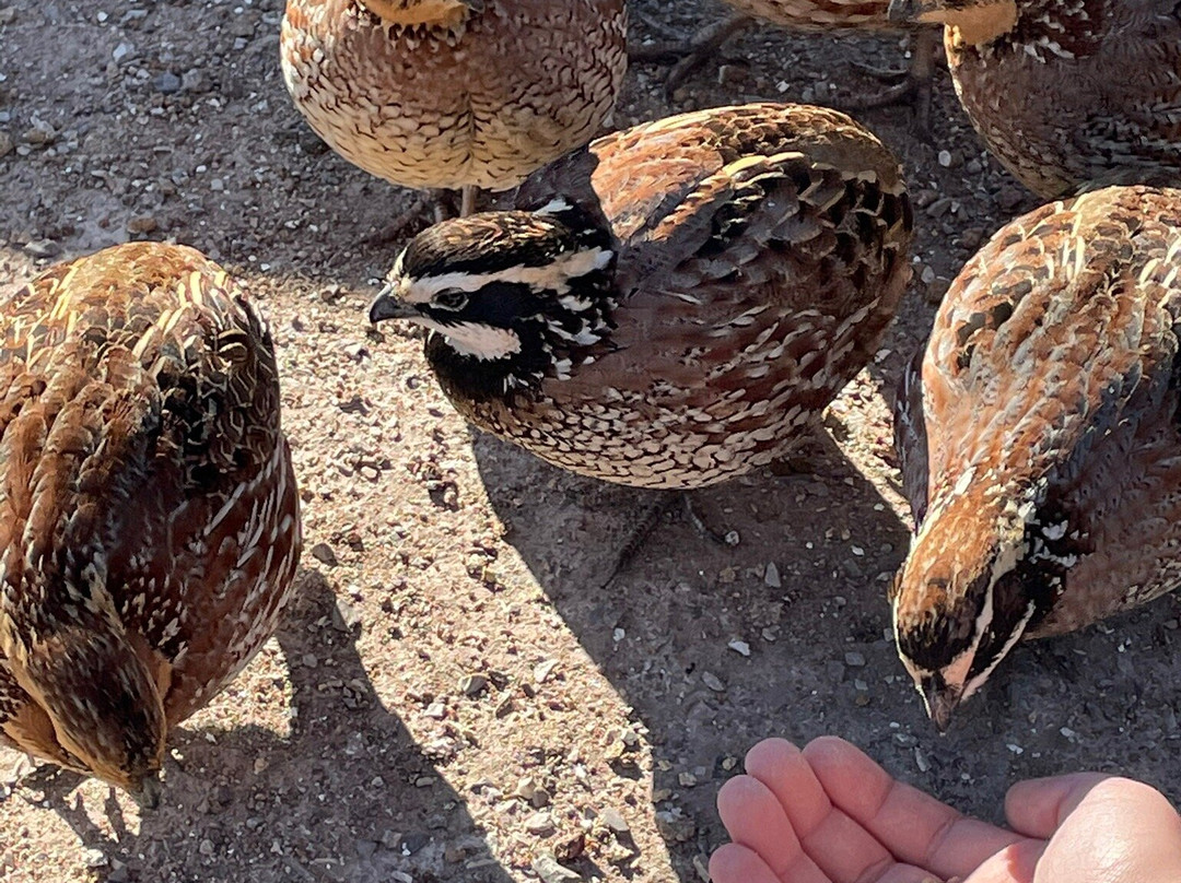 Medicine Park Aquarium and Natural Sciences Center-劳顿必去景点