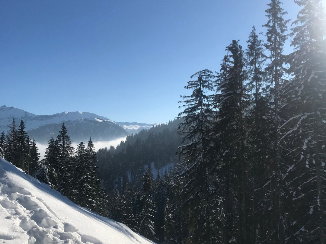 Megeve Raquettes-梅杰夫必去景点