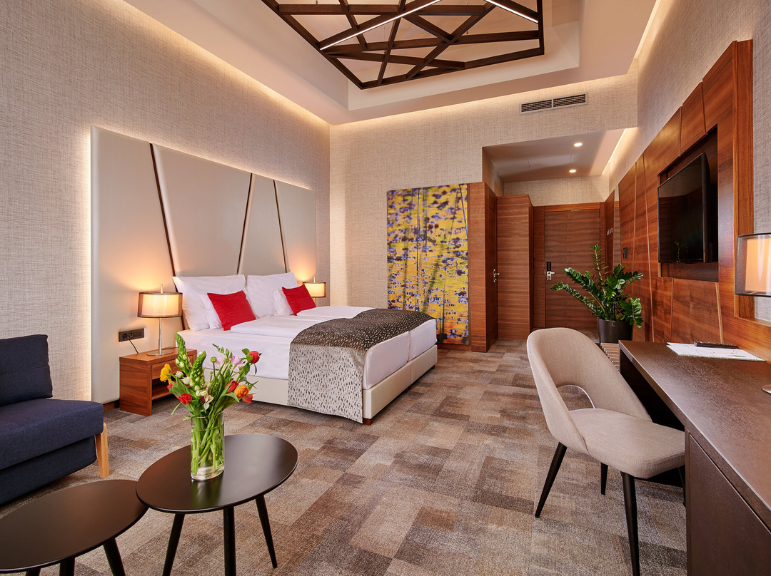 Artis Boutique Hotel主图