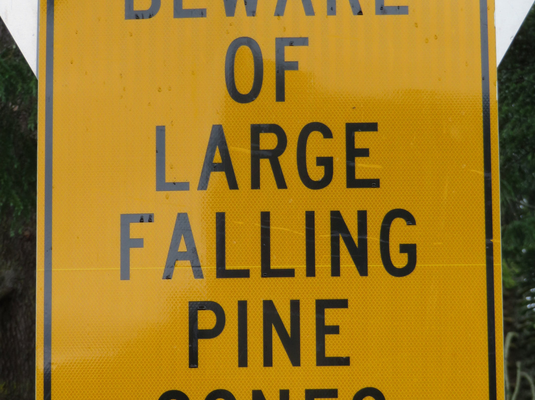 Bright Memorial Clock Tower-布赖特必去景点