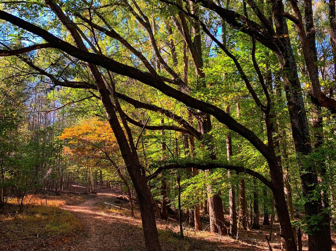 Stevens Creek Nature Center And Nature Preserve景点图片