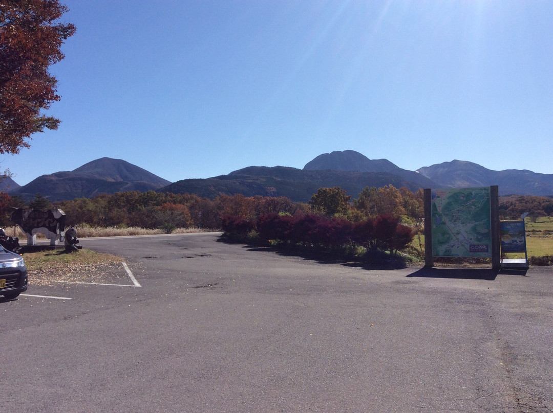 Handa Kogen Drive In景点图片