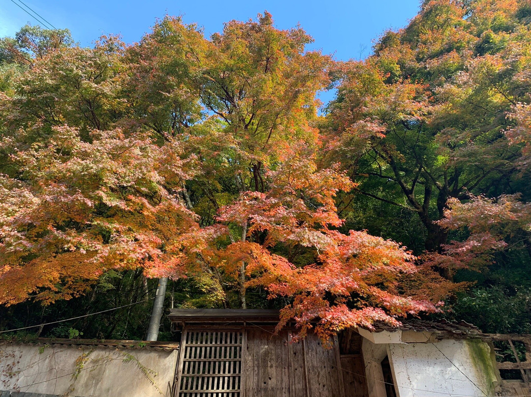 Hori Teien Garden-津和野町必去景点