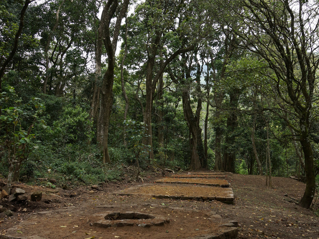 Knuckles Conservation Forest-Kandy District必去景点