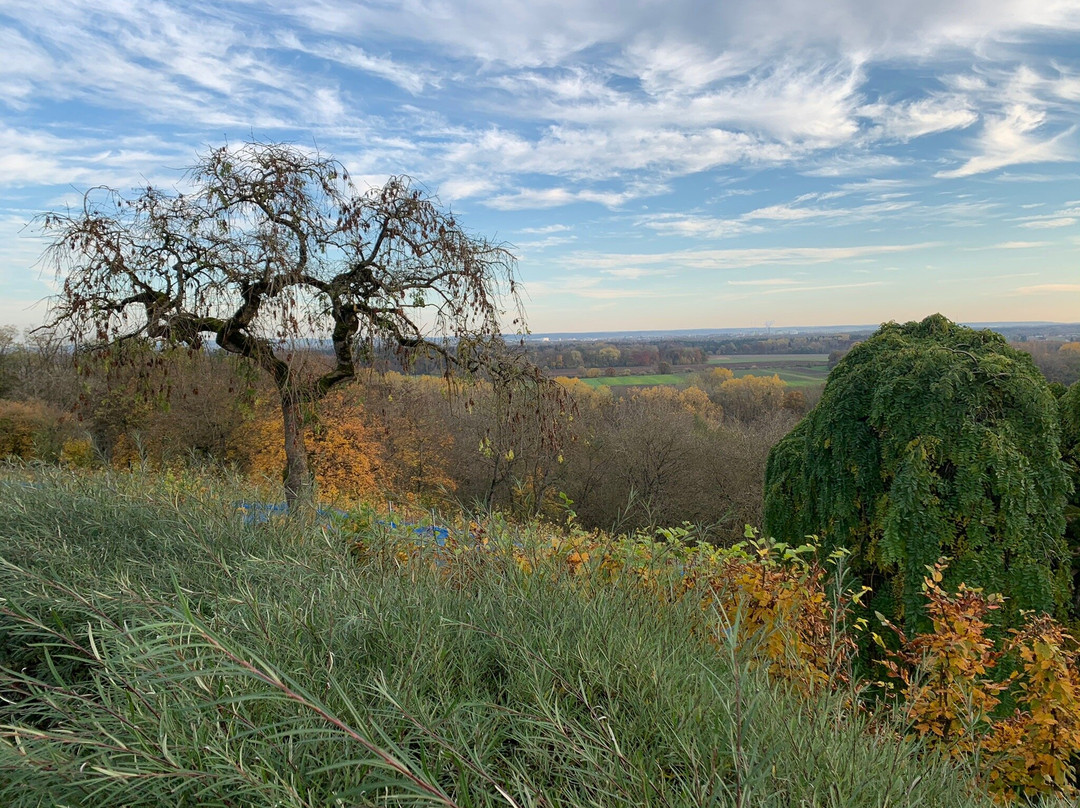 Hotel Schloss Leitheim主图