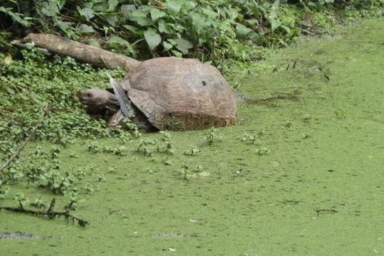 Our African Safaris-开普敦中心区必去景点