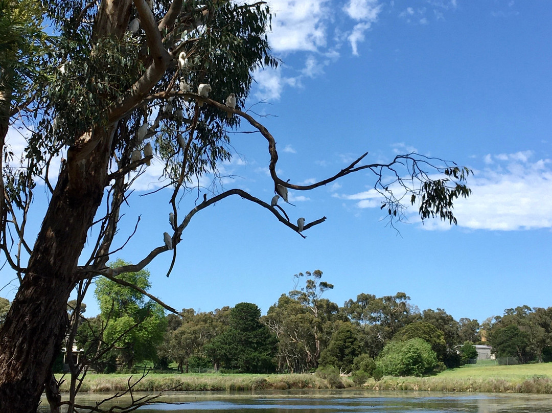 Lake Knox Sanctuary景点图片