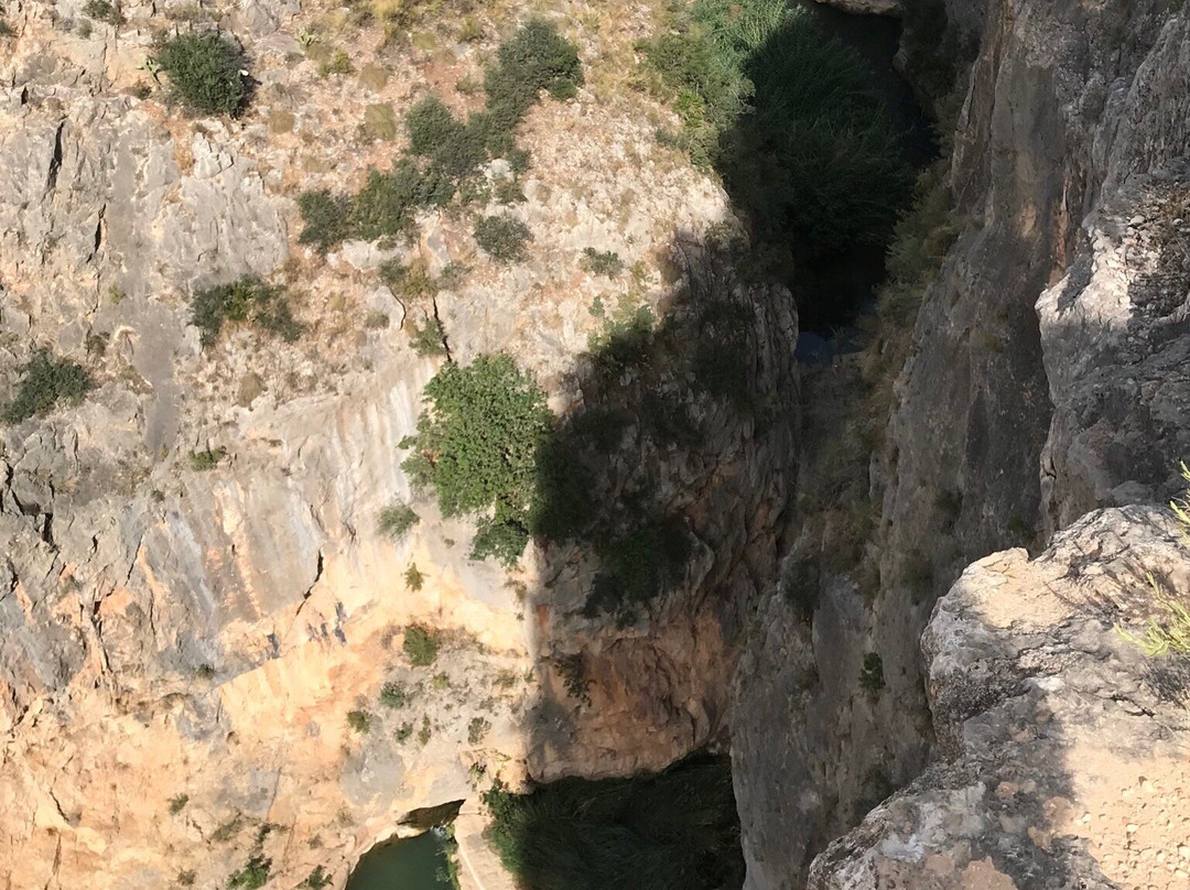 Puentes Colgantes景点图片