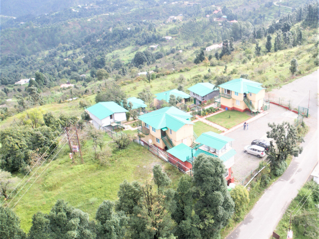 Nest And Hives主图