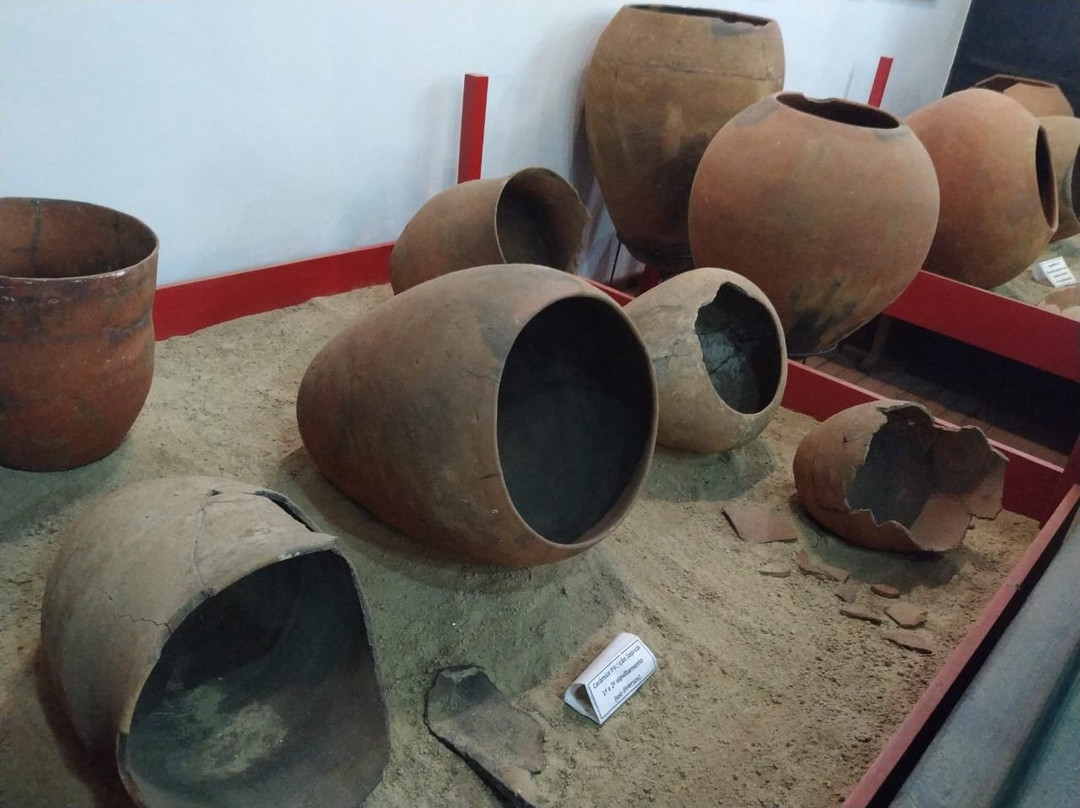 Indigena Antonio Adauto Leite Museum of Archaeology-Carmo Do Rio Claro必去景点