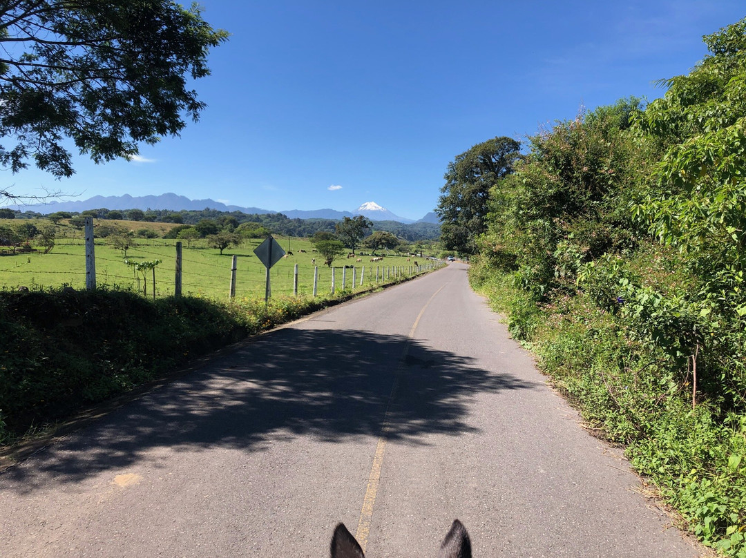 Hotel Agua Bendita主图