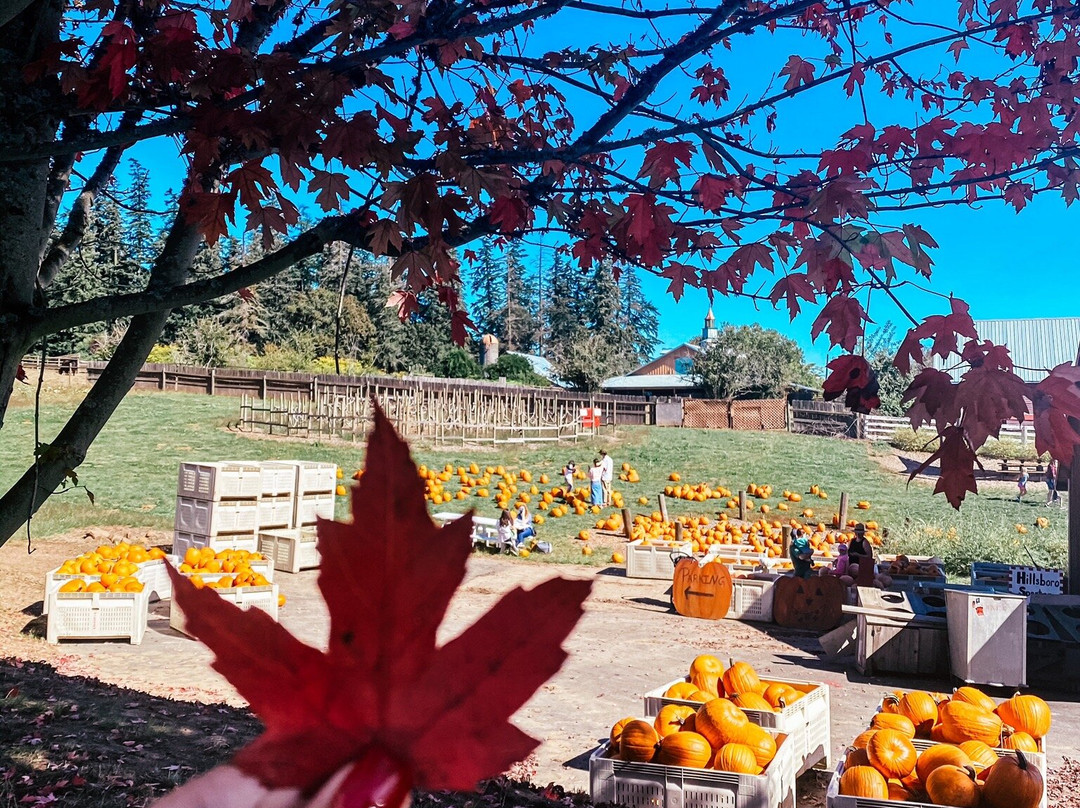 Oregon Heritage Farms景点图片