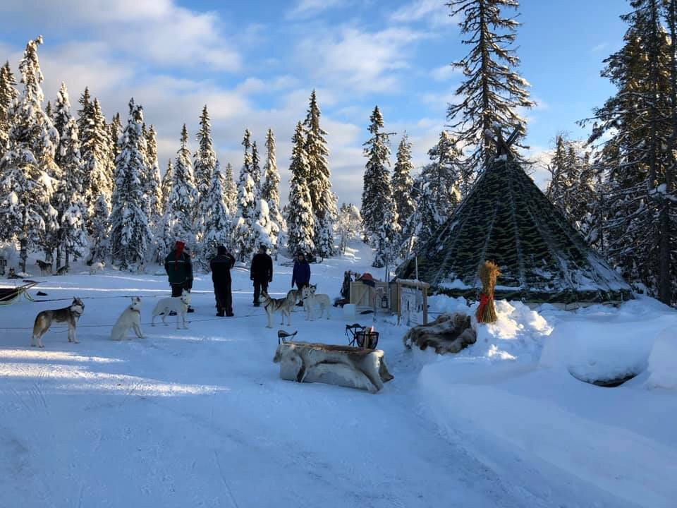 Hedmarksvidda Husky Tours-Brumunddal必去景点