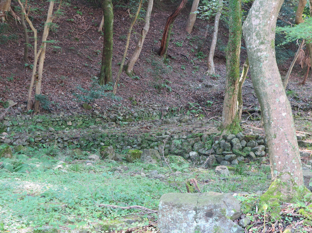 Yoro no Taki Falls景点图片