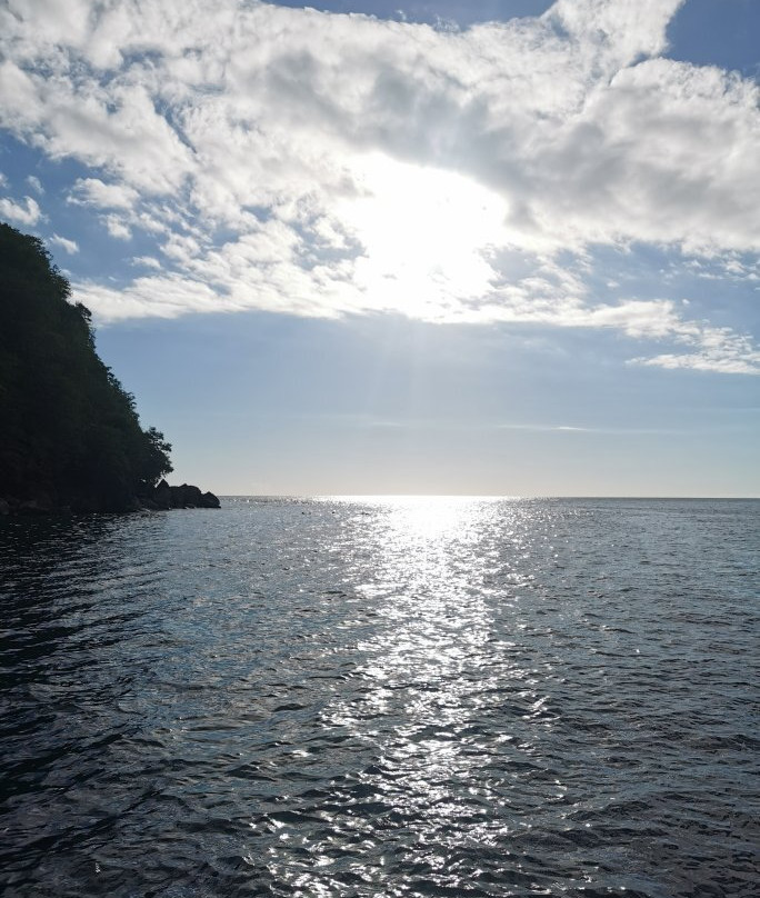 Espace Plongee Martinique景点图片