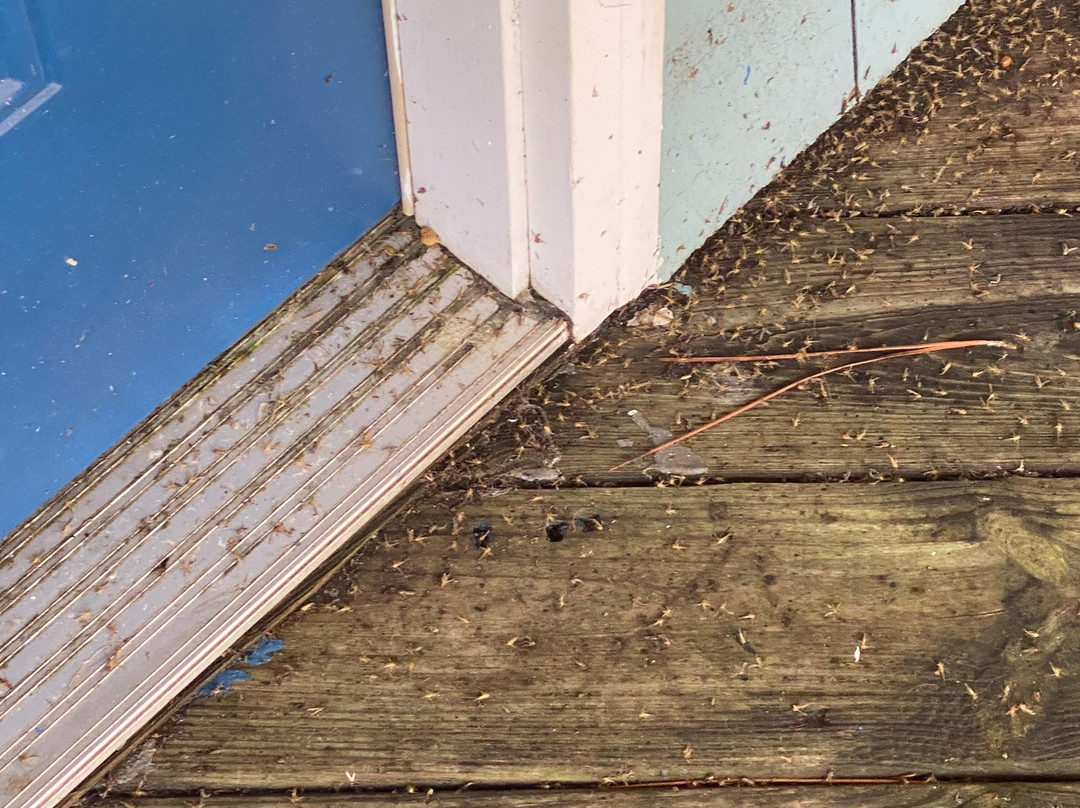 Inn at Corolla Light主图