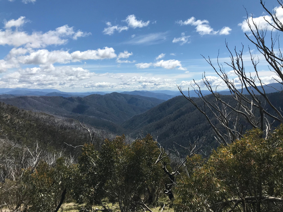 Dungey's Hollow-Hotham Heights必去景点