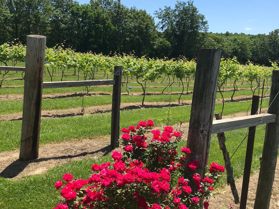 Dale Hollow Winery景点图片
