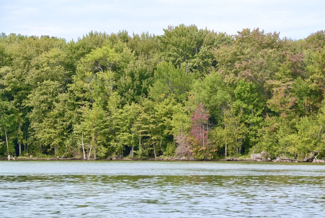 McRae Point Provincial Park景点图片