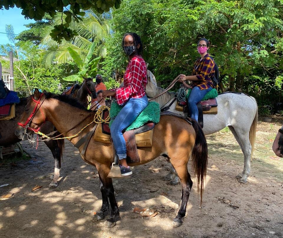 Native Horses-San Luis必去景点