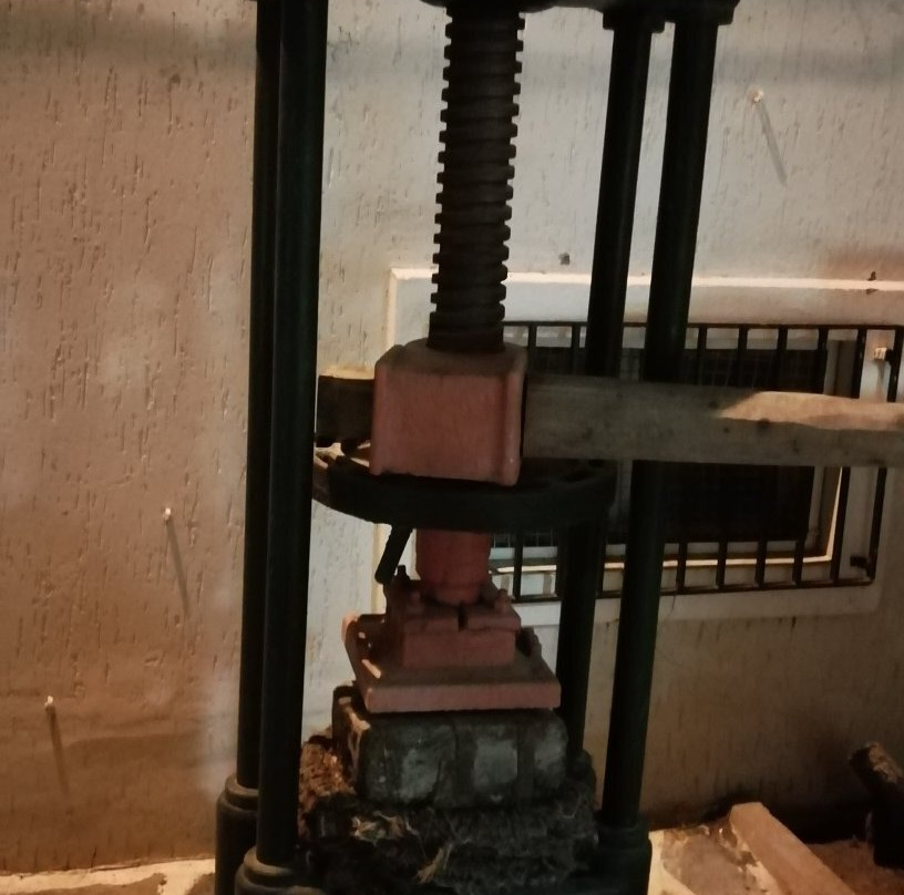 Zeytin ve Zeytinyağı Tarihi Müzesi-库萨达斯必去景点