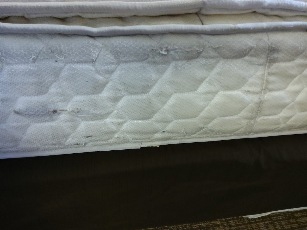 Comfort Suites主图