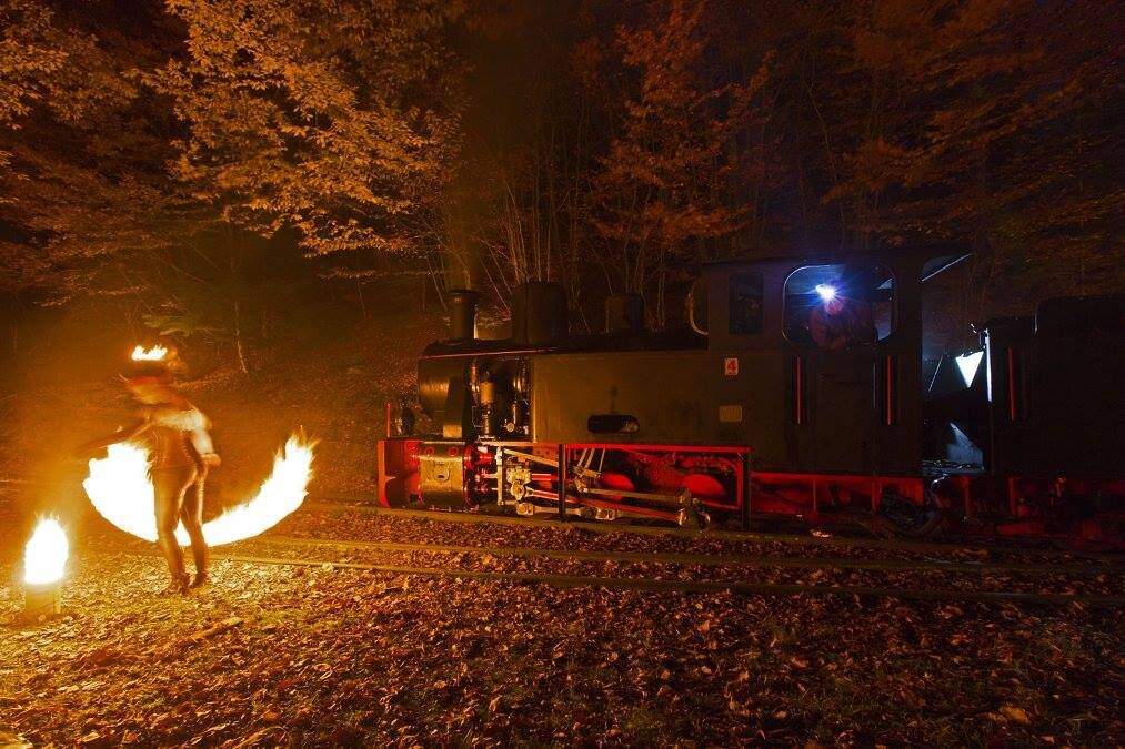 Train Forestier d'Abreschviller景点图片