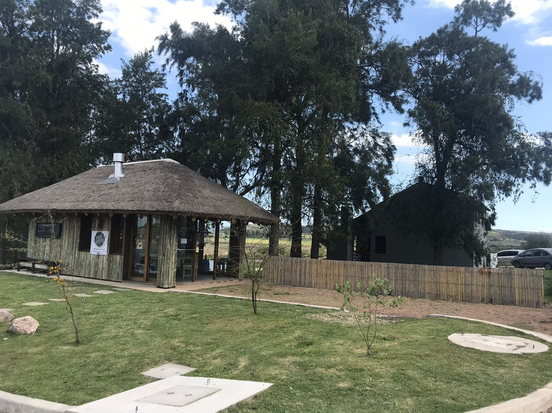 Grutas de Salamanca-Aigua必去景点