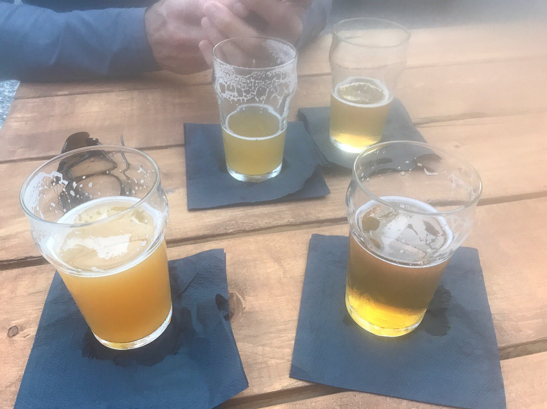 Hopmeadow Brewing Company