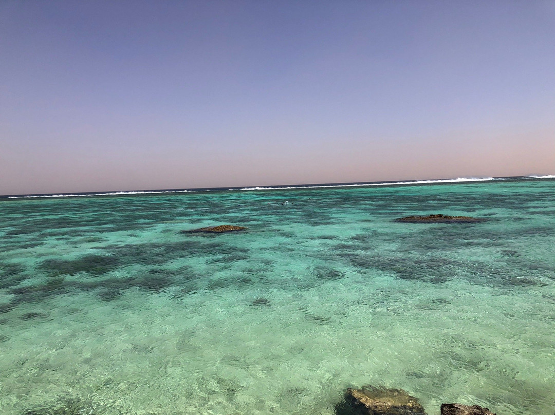 Oyster Stacks-埃克斯茅斯必去景点