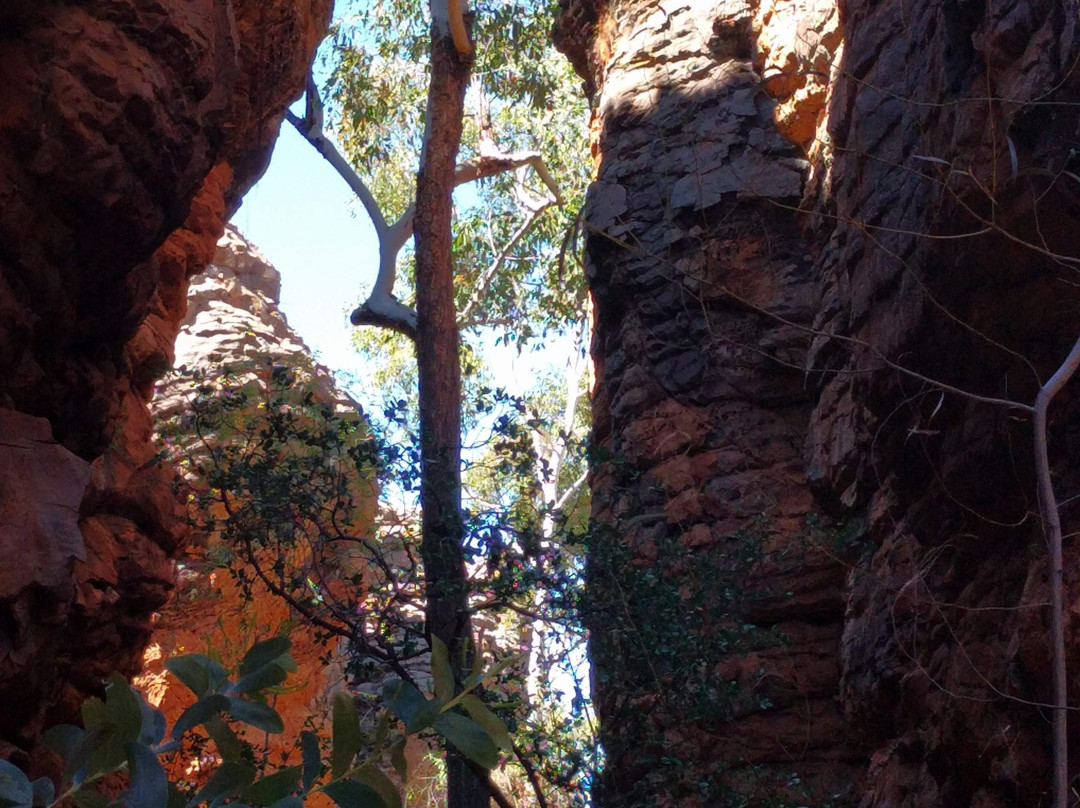 Caranbirini Conservation Reserve-Borroloola必去景点