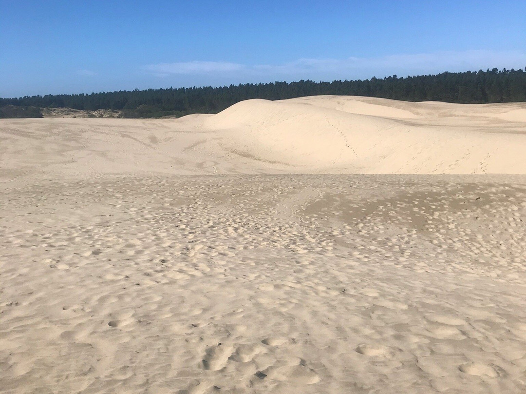 John Dellenback Dunes Trail-弗洛伦斯必去景点