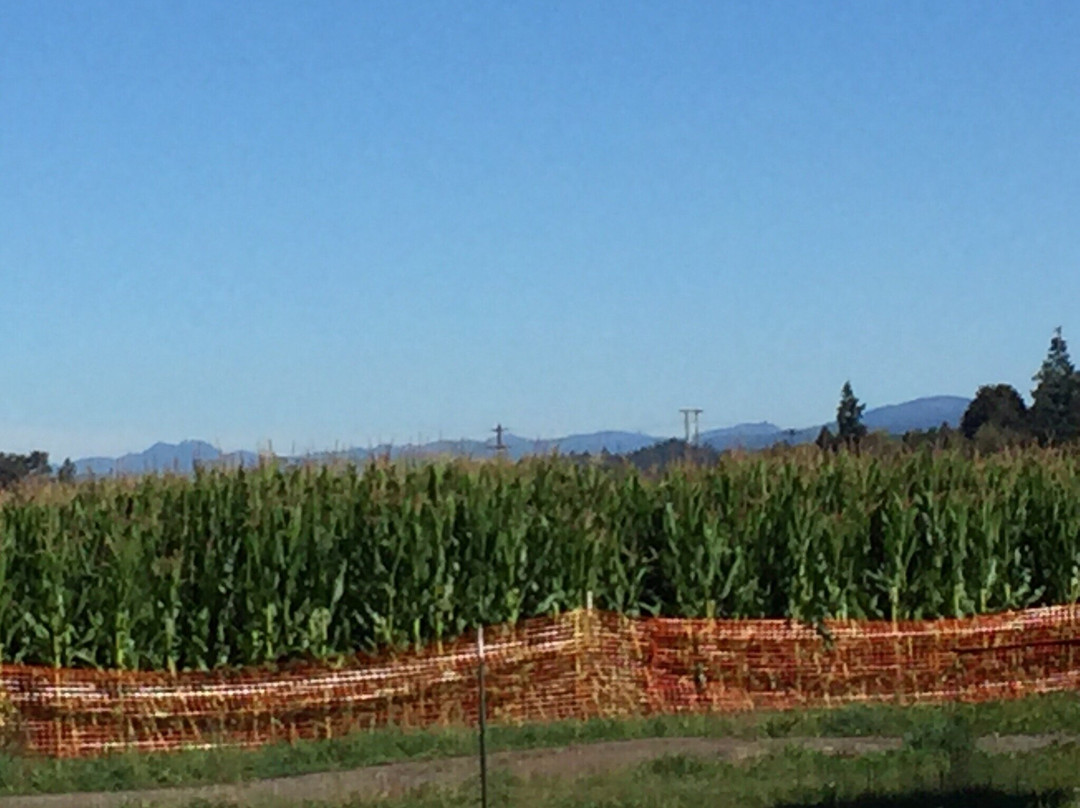 The Farm at Swan's Trail-Snohomish必去景点