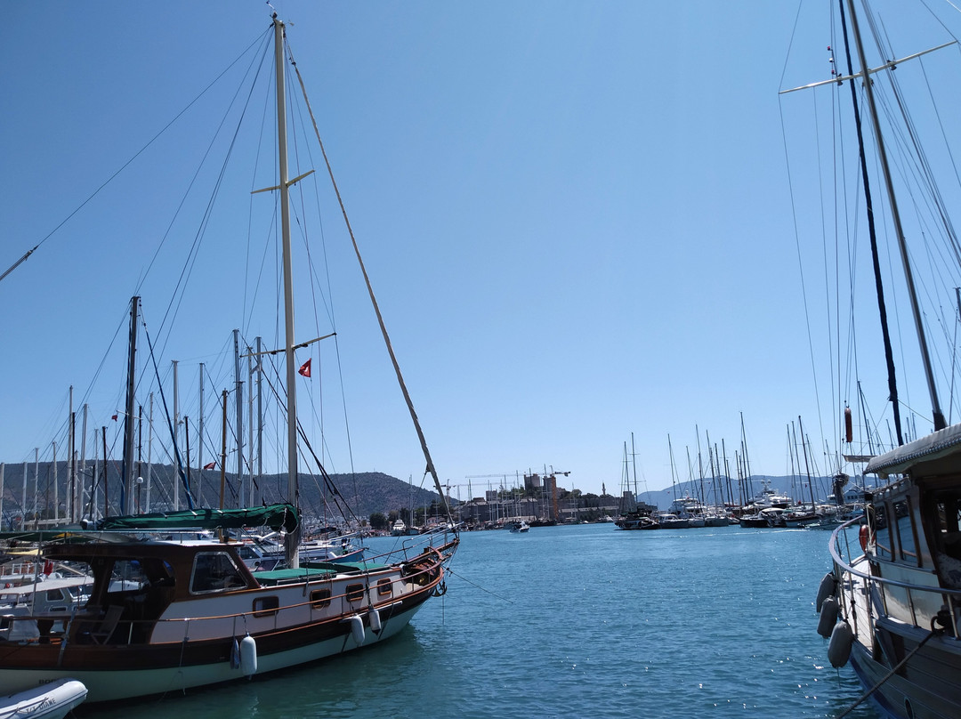 Milta Bodrum Marina景点图片