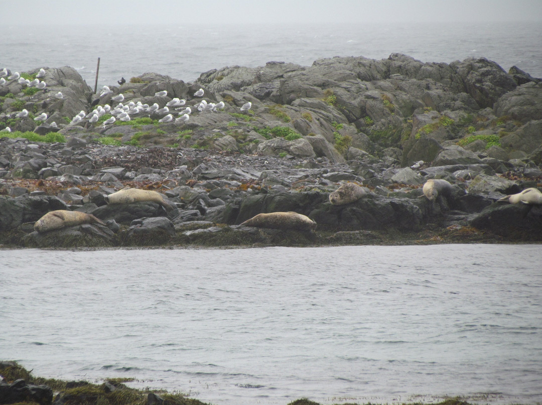 Illugastaðir Farm-Bifrost必去景点