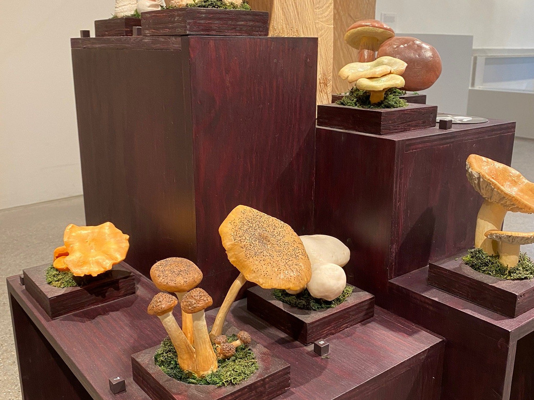 Naturmuseum St.Gallen-圣加仑必去景点