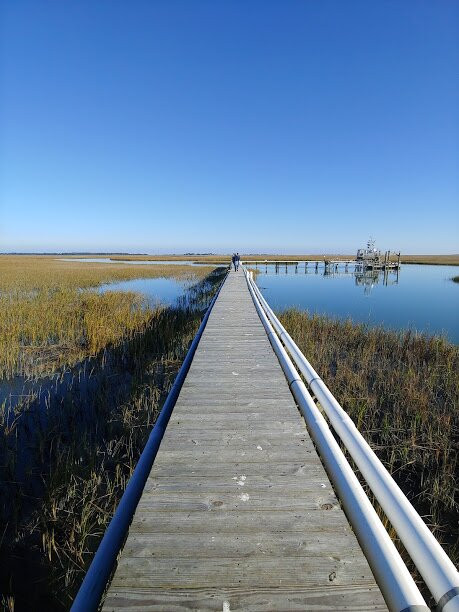 North Inlet - Winyah Bay National Estuarine Research Reserve景点图片