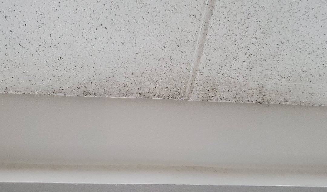 La Quinta Inn & Suites by Wyndham Mission at West McAllen主图