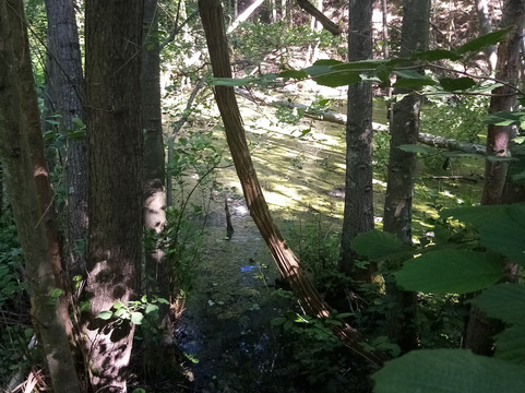 La Forêt Domaniale de Montmorency-Saint-Prix必去景点
