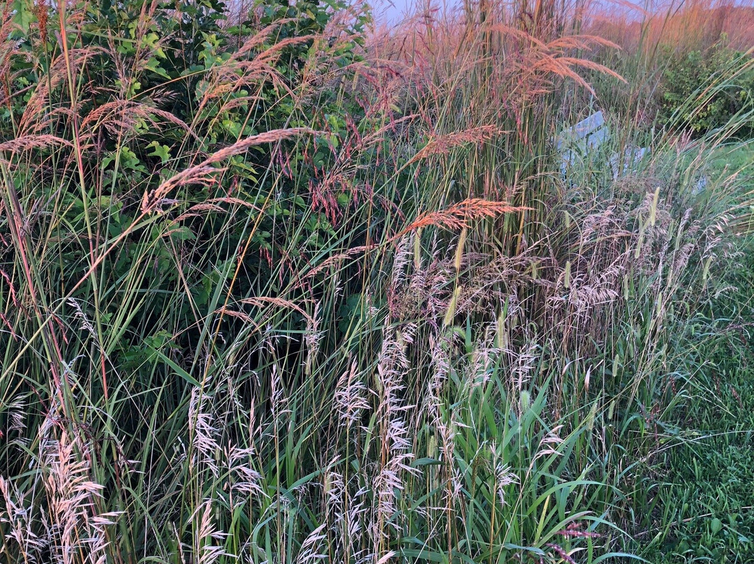 Prophetstown State Park-Battle Ground必去景点