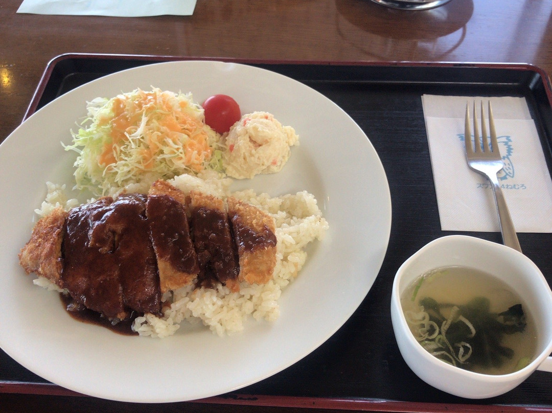 Michi-no-Eki Swan 44 Nemuro-根室市必去景点